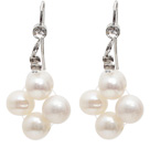 Fashion Style 5-6mm Natural White Freshwater Pearl Earrings with Fish Hook